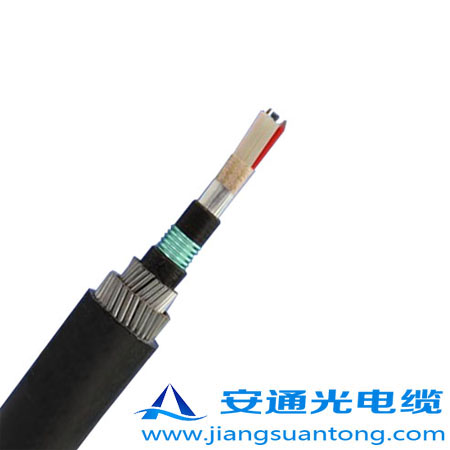 GYTA53-333|,OPPC|SңADSS|r(ji)24оOPGW|