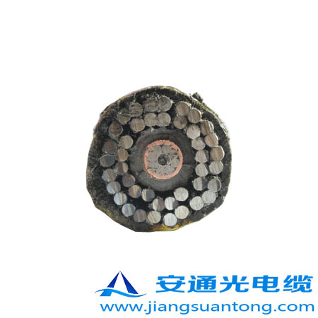 GYTA53-333|,OPPC|SADSS|r(ji)24оOPGW|